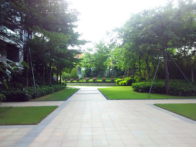 塘厦旅游区景观工程监理价格对比 佛岭景观与园林景观工程的综合评估
