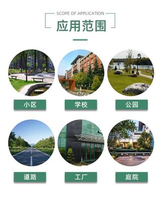 朱槿 花镜花坛观赏栽植 花色鲜艳 小区园林景观种植工程苗